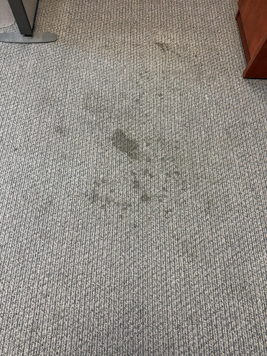 Office carpet stain removal — before
